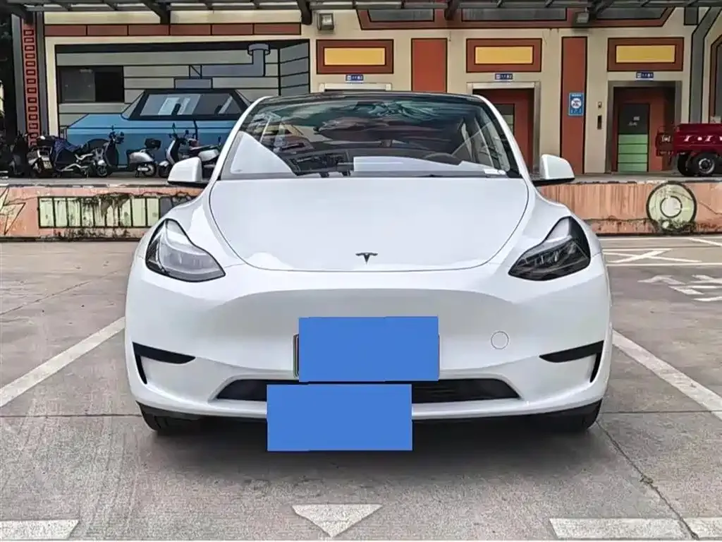 Tesla Model Y 2025 из CN, фото 9
