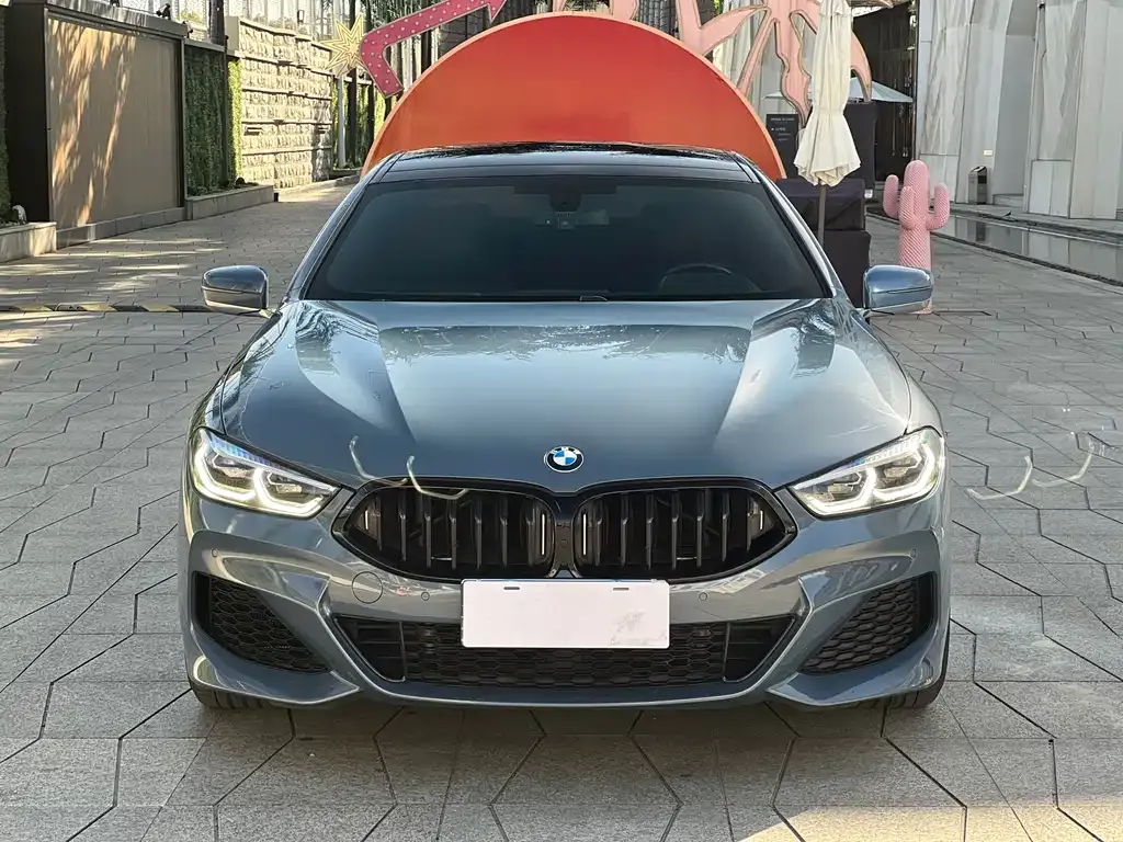 BMW 8 Series 2021 из CN, фото 6