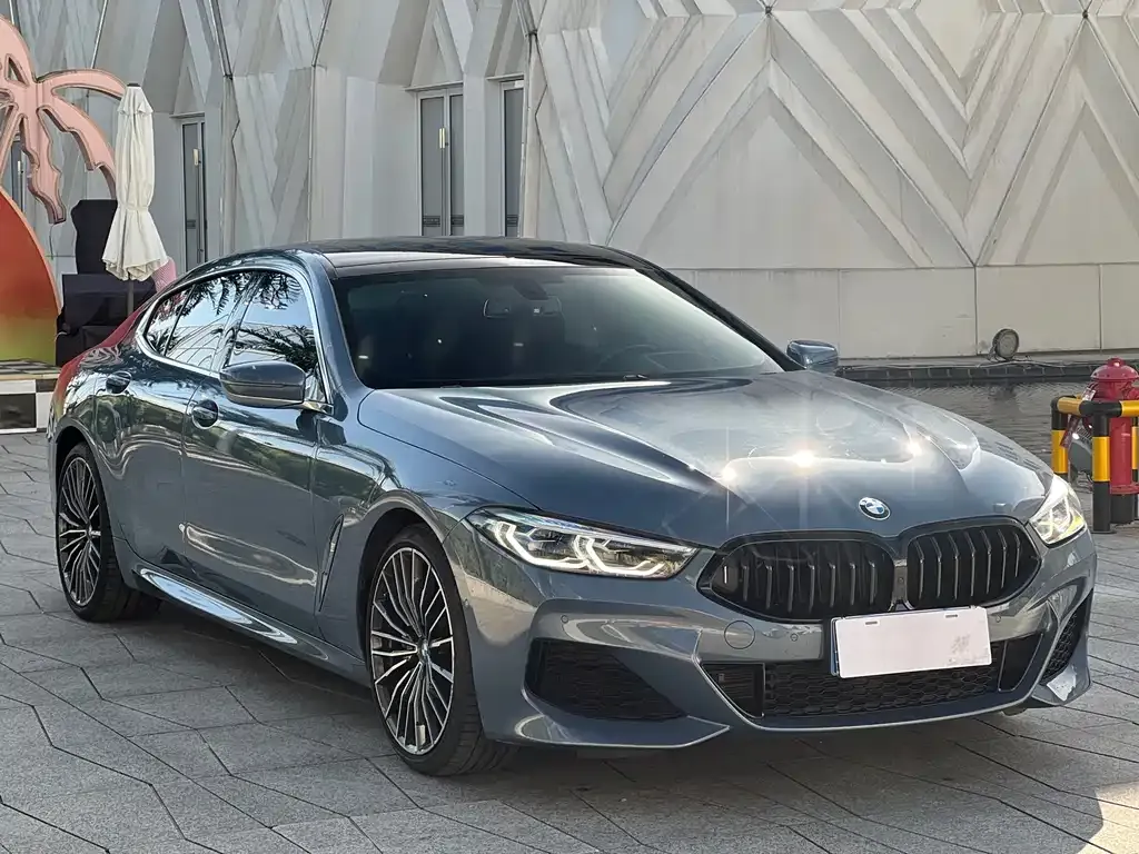 BMW 8 Series 2021 из CN, фото 9