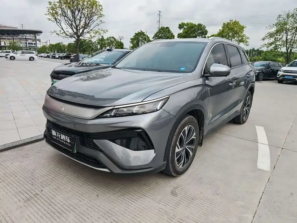 BYD Pro New Energy