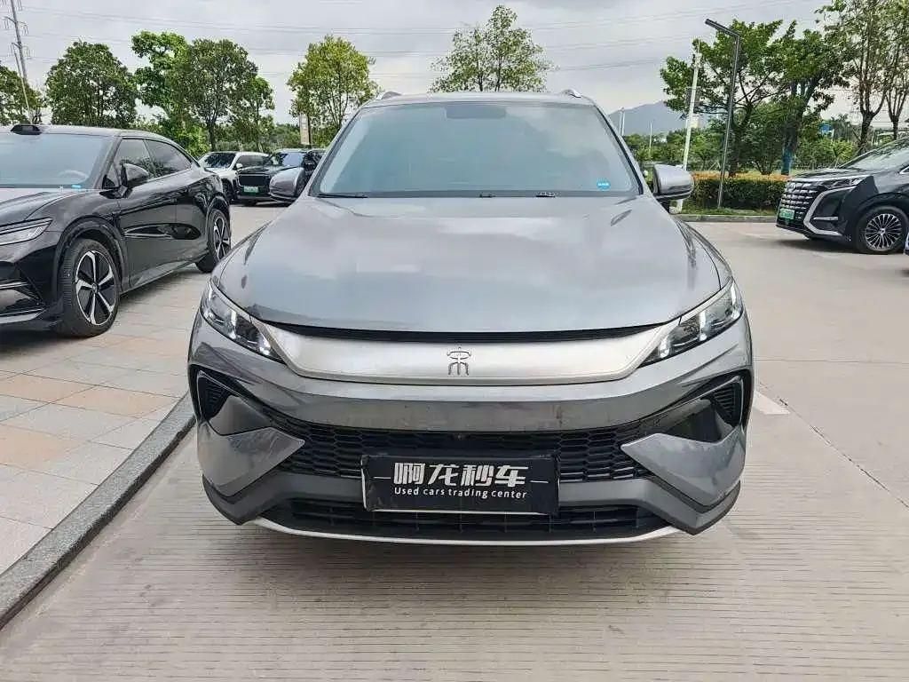 BYD Pro New Energy 2024 из CN, фото 4