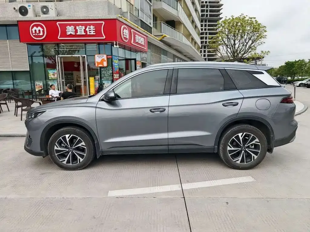 BYD Pro New Energy 2024 из CN, фото 6
