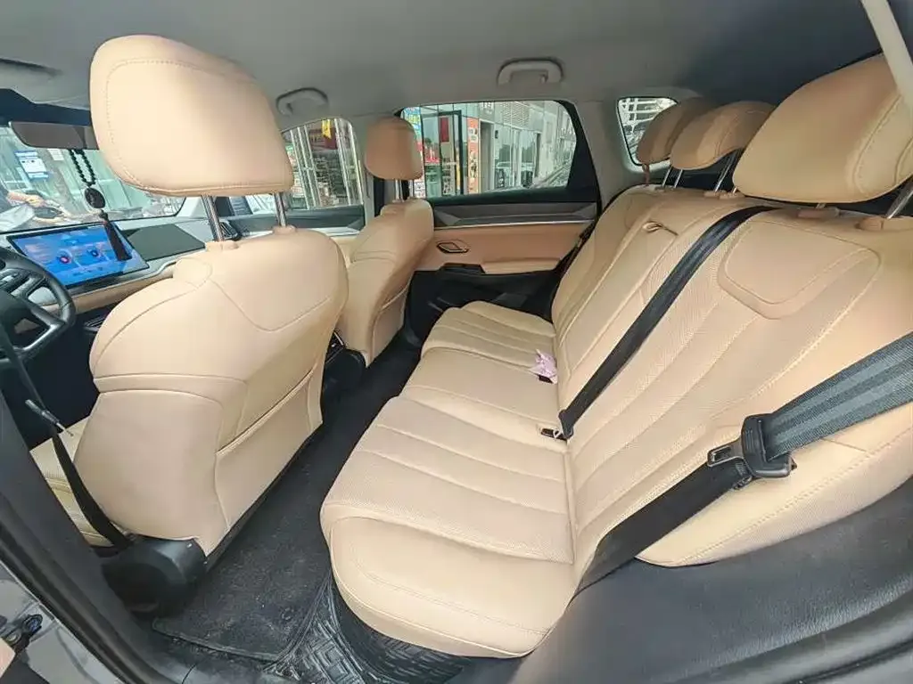 BYD Pro New Energy 2024 из CN, фото 2