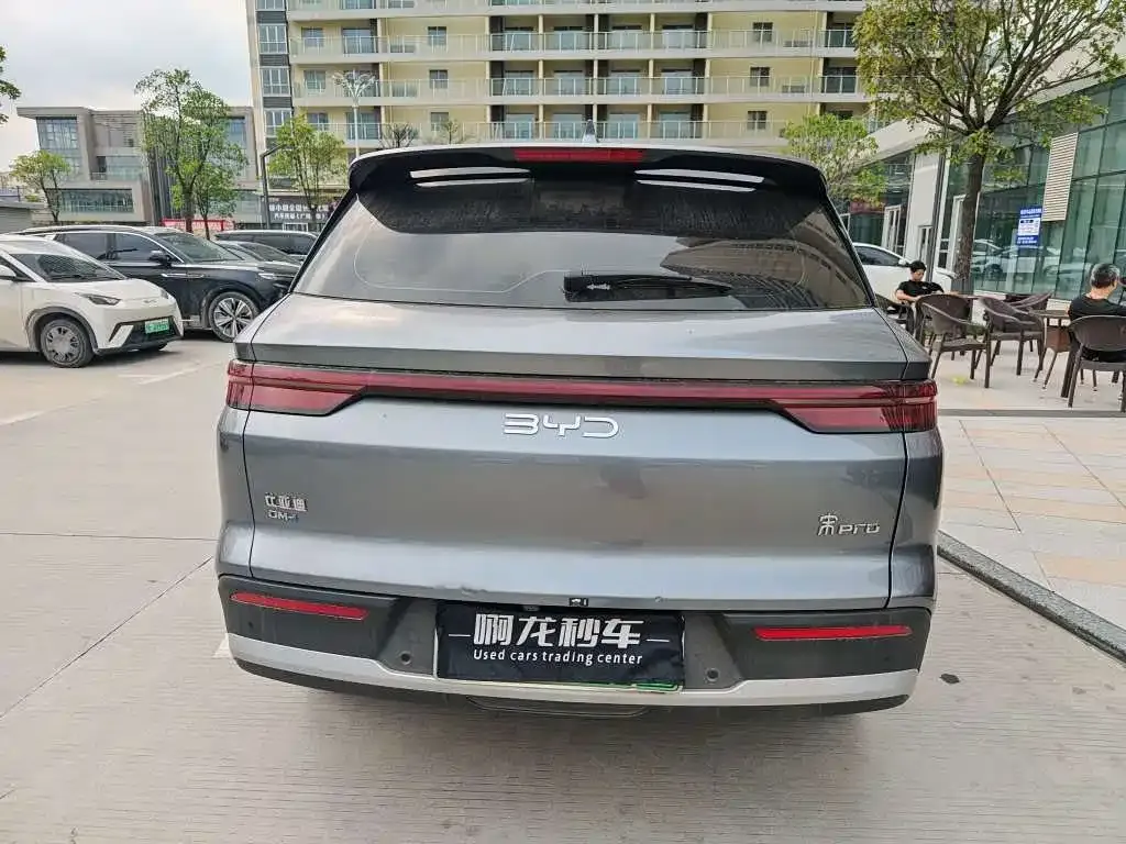BYD Pro New Energy 2024 из CN, фото 8