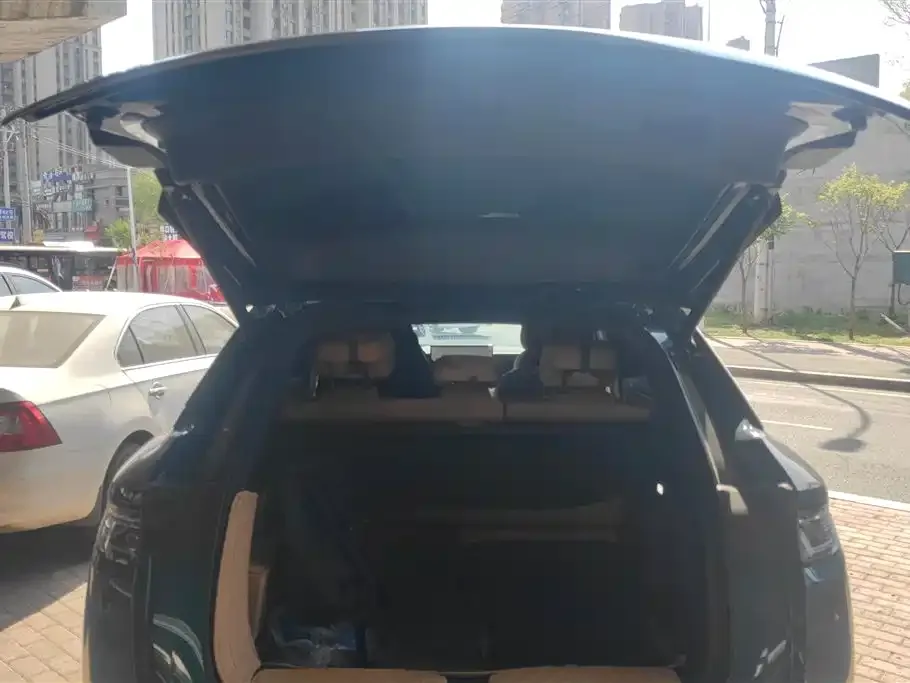 BYD L DM-i — фото 2