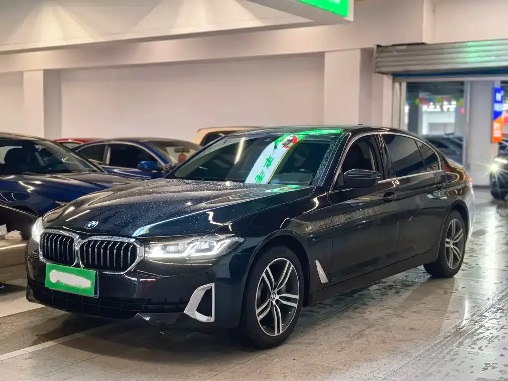 BMW 5 Series 2021 из CN, фото 1
