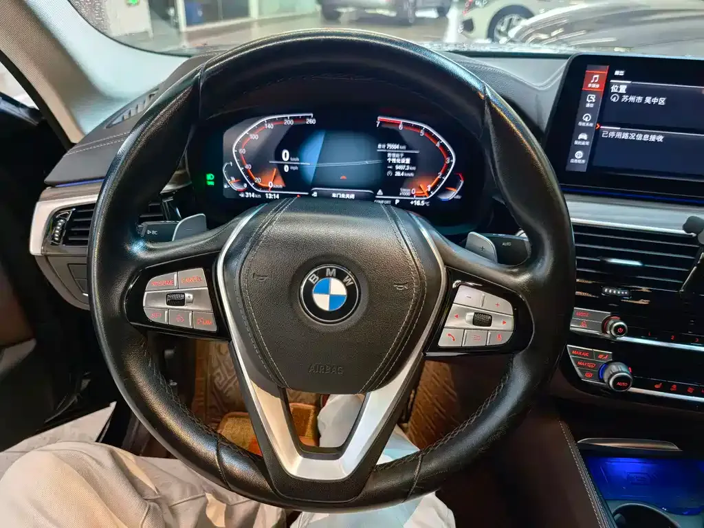 BMW 5 Series 2021 из CN, фото 5