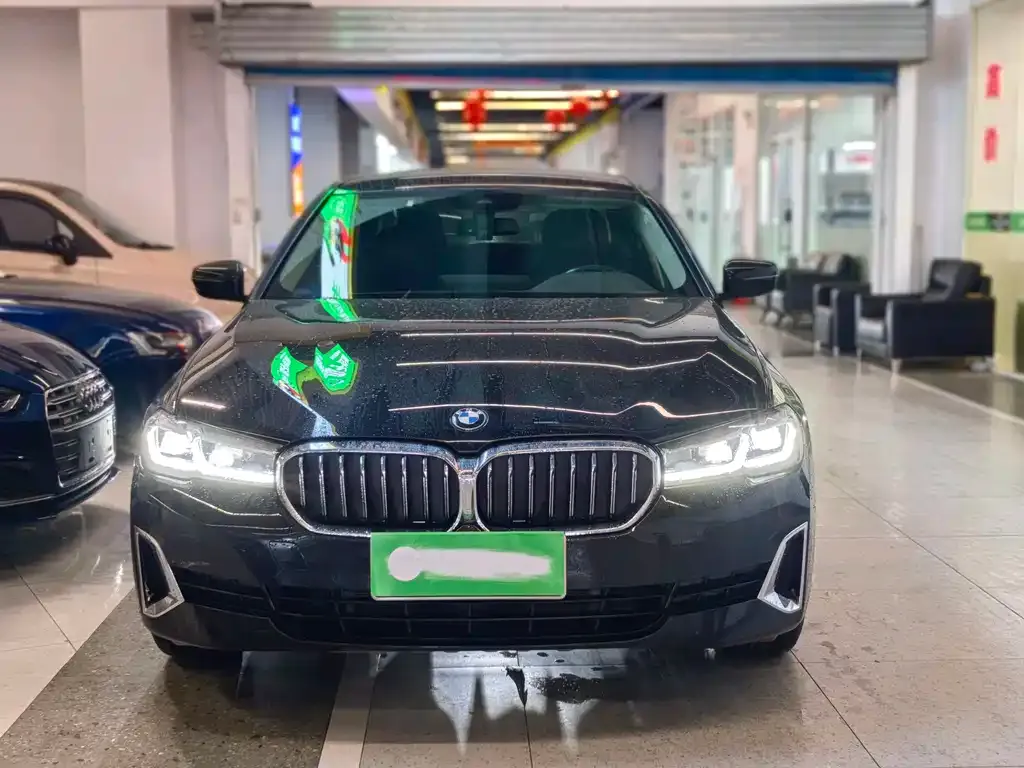 BMW 5 Series 2021 из CN, фото 3
