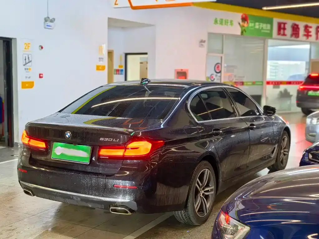 BMW 5 Series 2021 из CN, фото 10