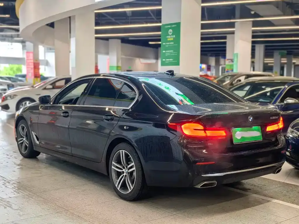 BMW 5 Series 2021 из CN, фото 7