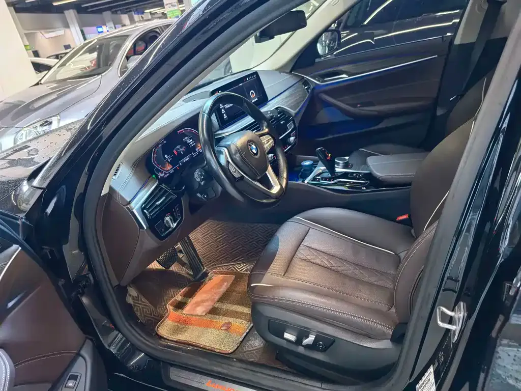 BMW 5 Series 2021 из CN, фото 8