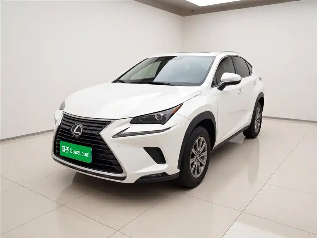 Lexus NX 2021 из CN, фото 4