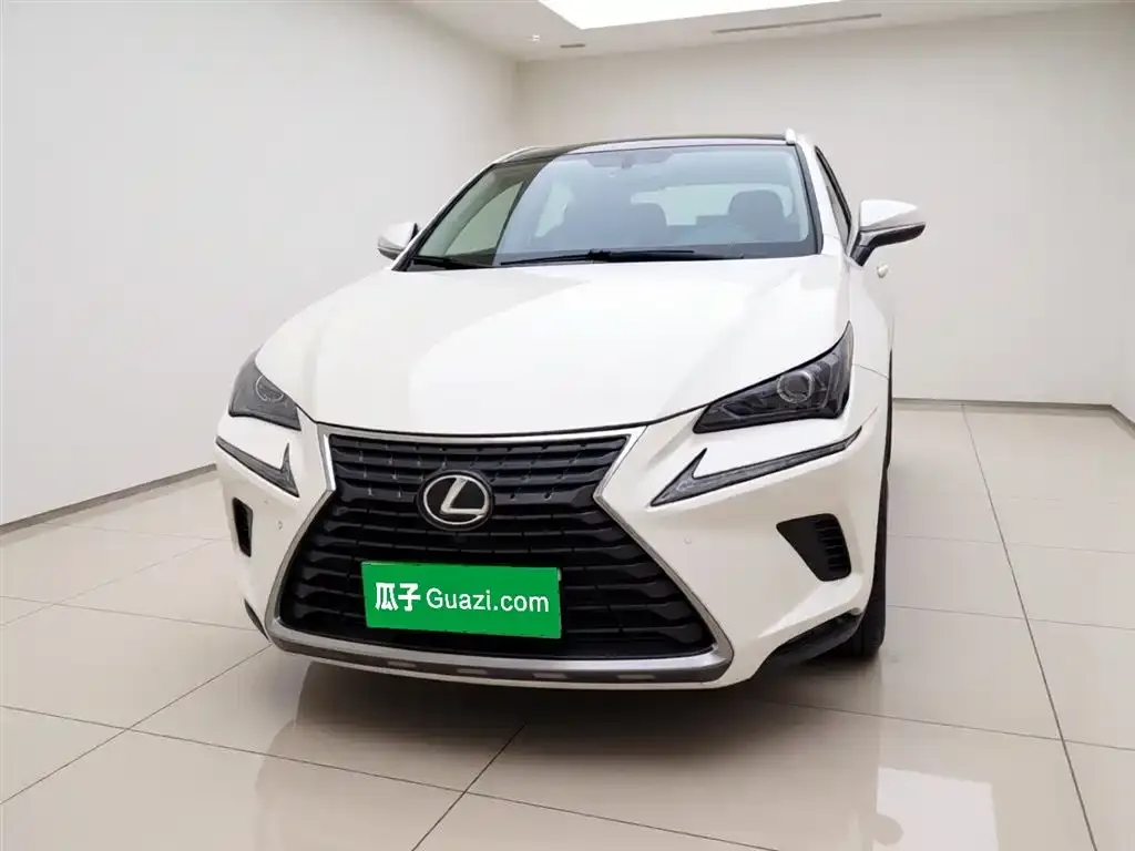 Lexus NX 2021 из CN, фото 9