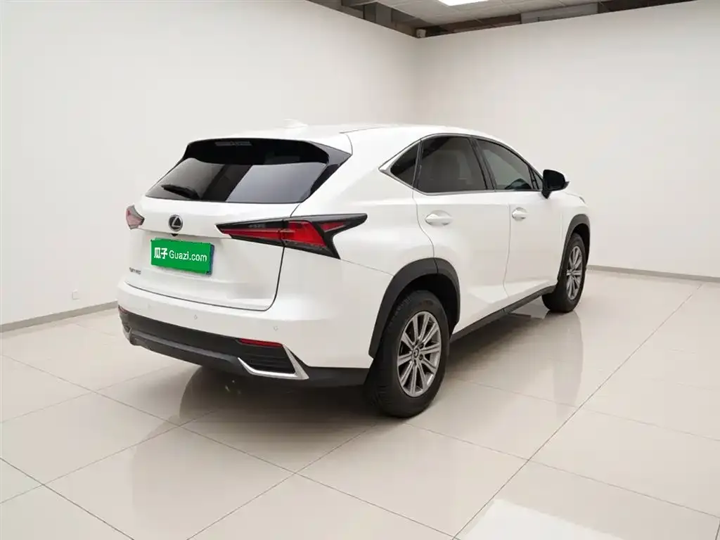 Lexus NX 2021 из CN, фото 2