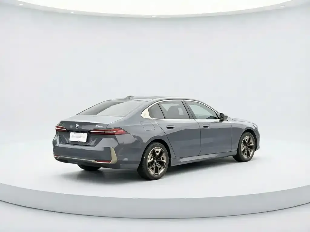 BMW 5 Series 2024 из CN, фото 5