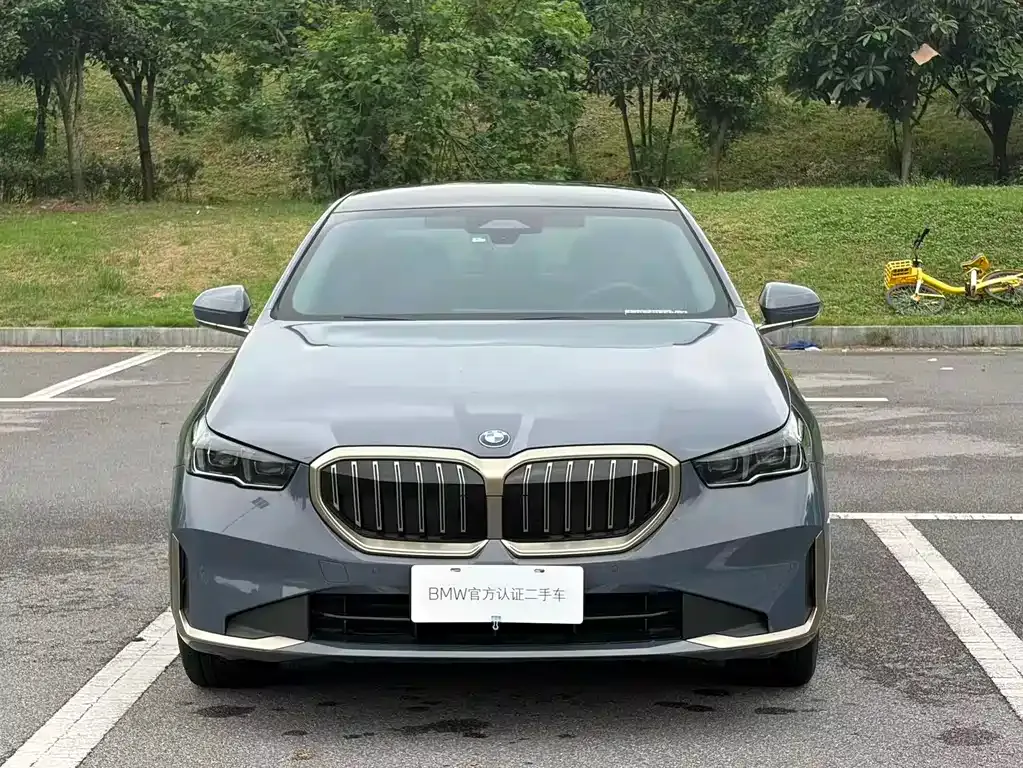 BMW 5 Series 2024 из CN, фото 7