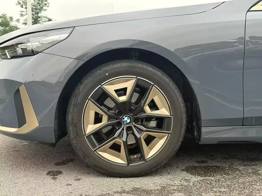 BMW 5 Series 2024 из CN, фото 8
