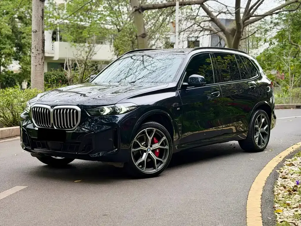 BMW X5 2024 из CN, фото 1