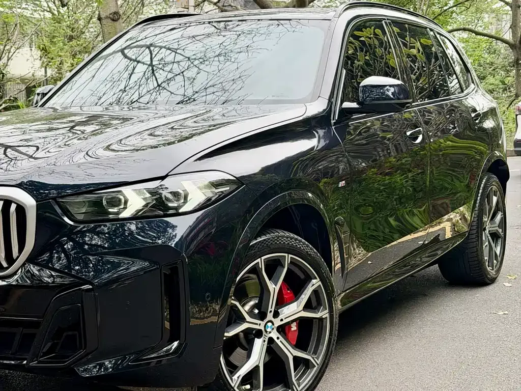 BMW X5 2024 из CN, фото 6