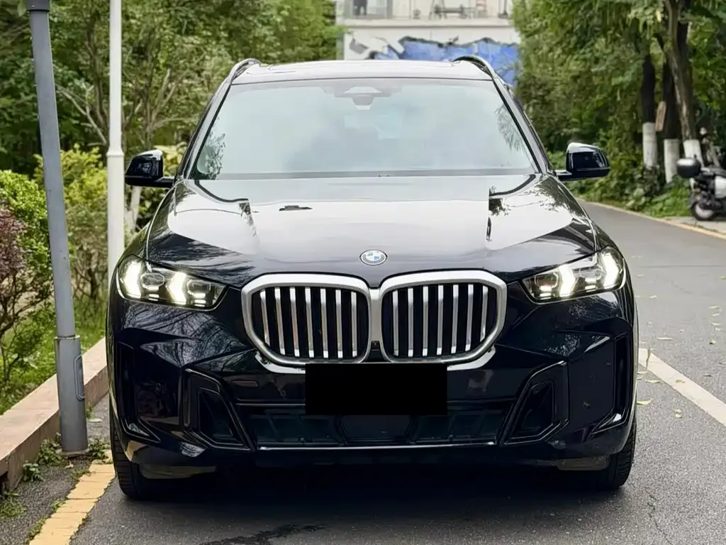 BMW X5 2024 из CN, фото 2