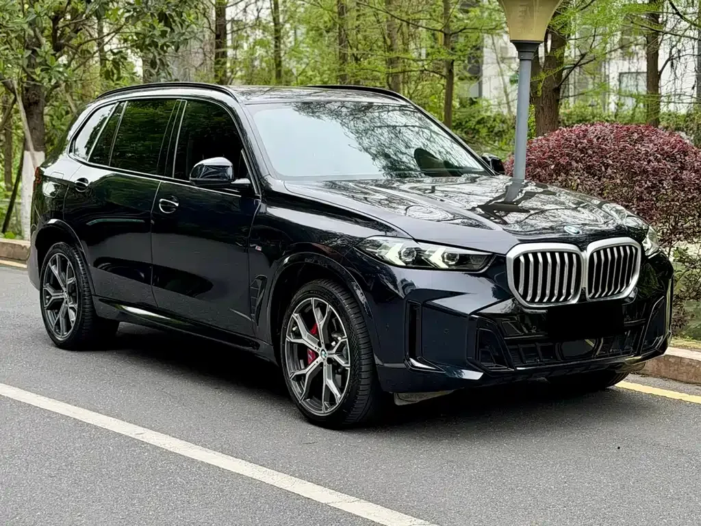 BMW X5 2024 из CN, фото 8