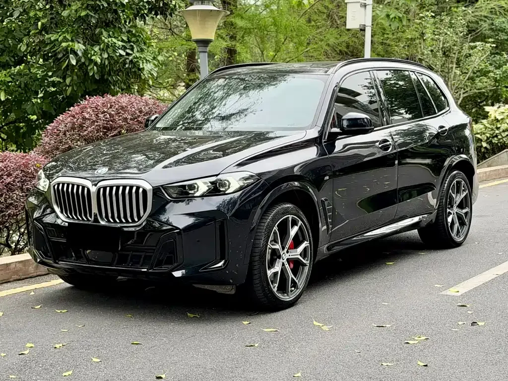 BMW X5 2024 из CN, фото 7
