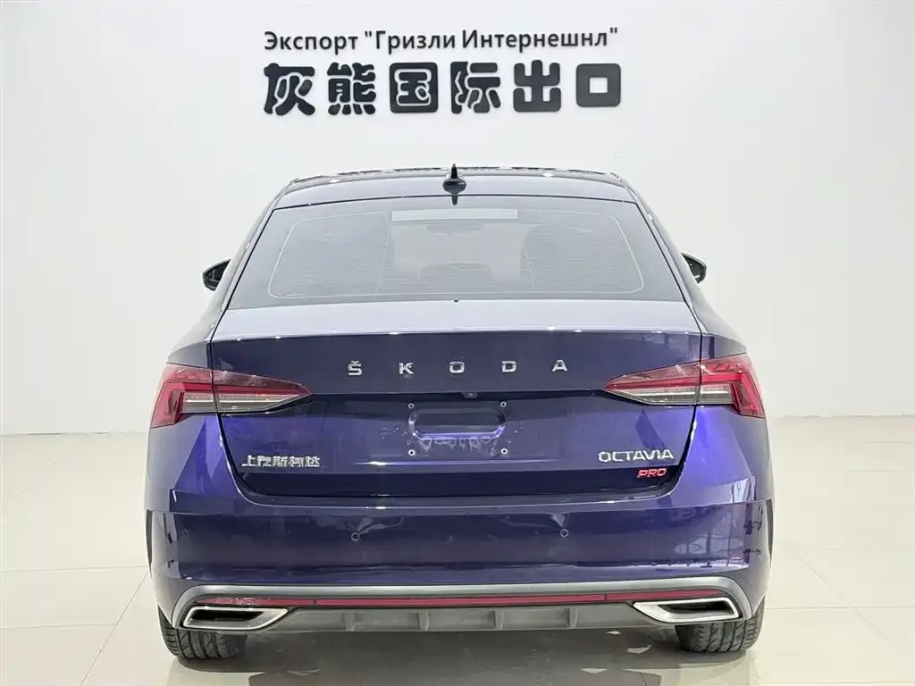 Skoda Octavia 2022 из CN, фото 3