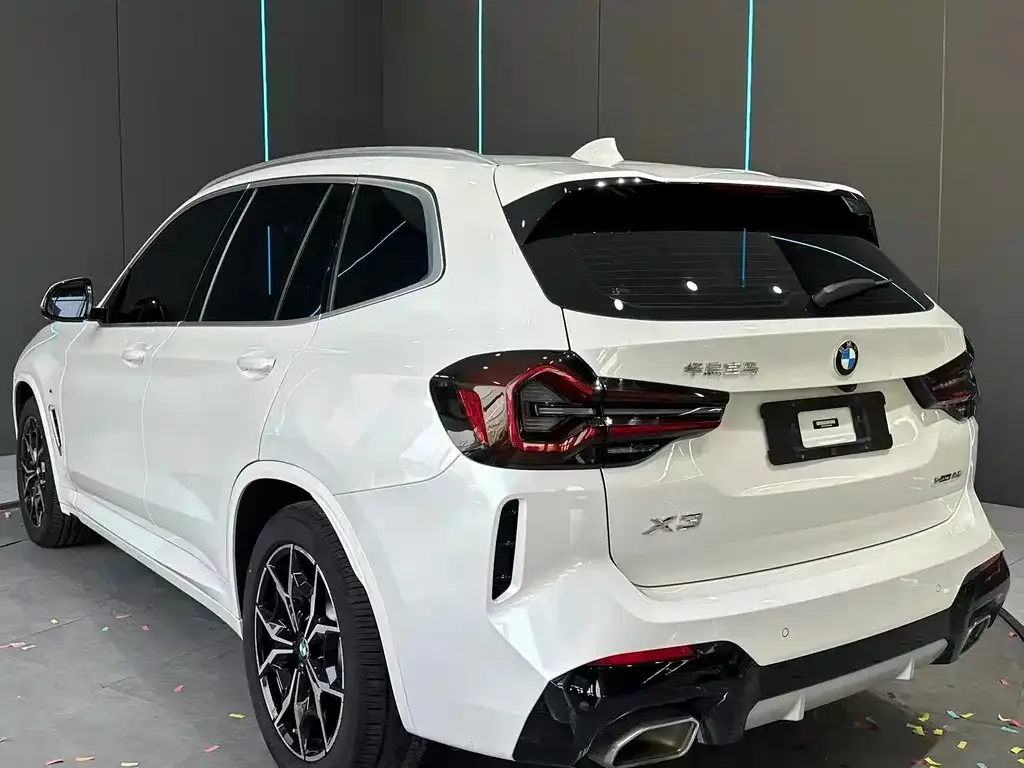 BMW X3 2022 из CN, фото 6