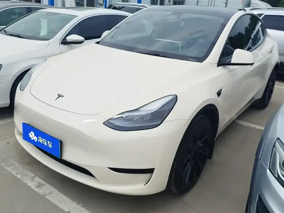Tesla Model Y 2022 из CN, фото 1