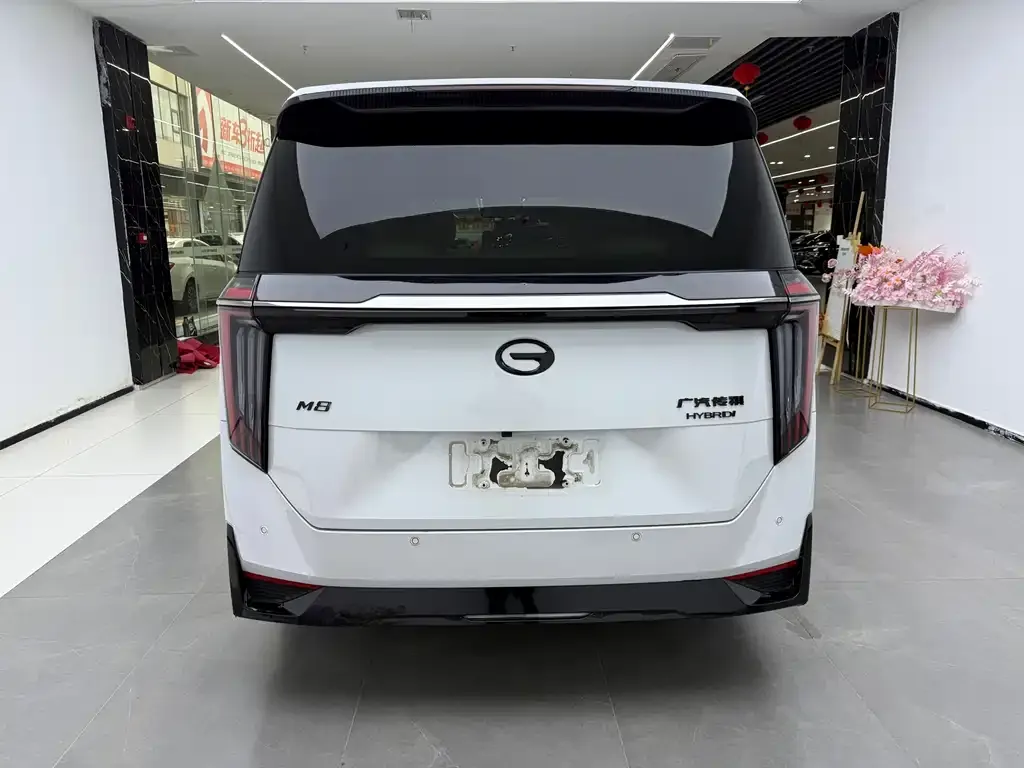 GAC Motor Trumpchi M8 2023 из CN, фото 7