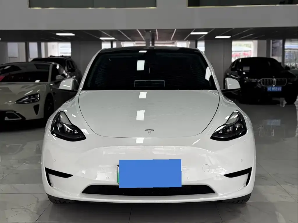 Tesla Model Y 2023 из CN, фото 4