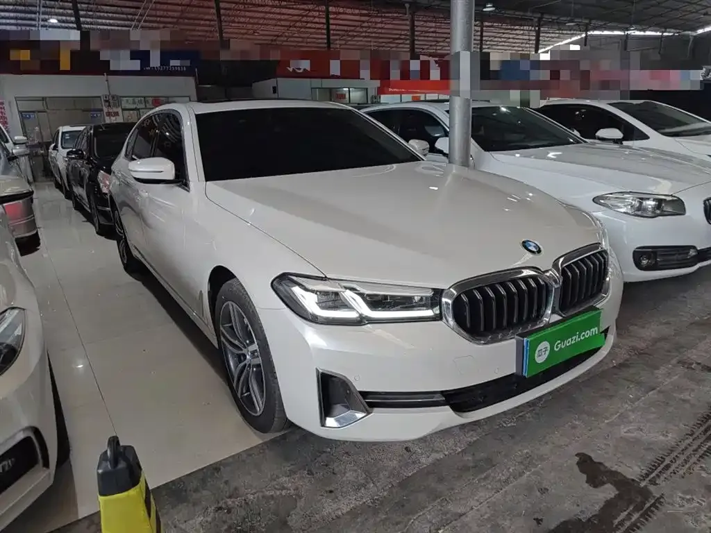 BMW 5 Series 2024 из CN, фото 9