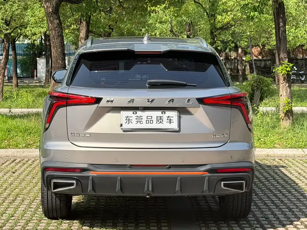 Haval Shenshou 2022 из CN, фото 4