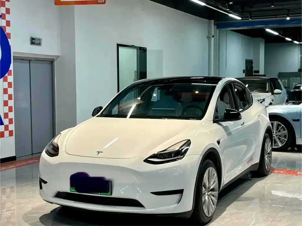 Tesla Model Y 2023 из CN, фото 1