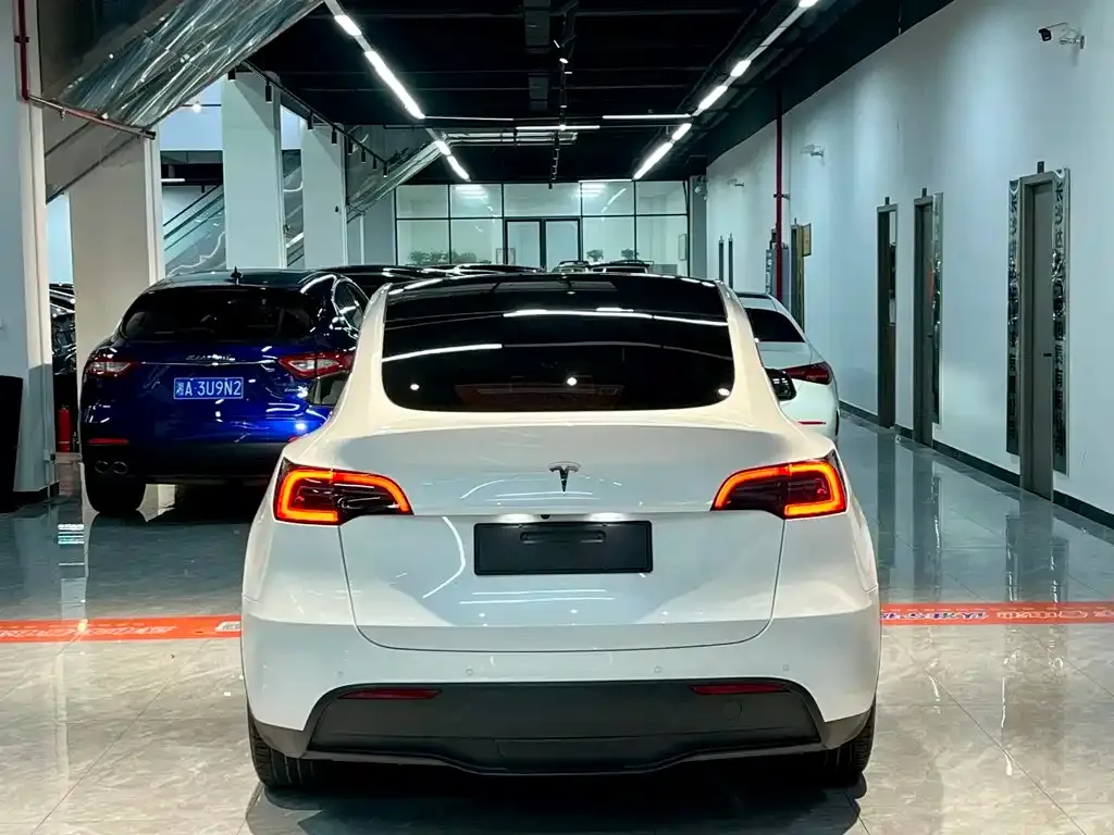Tesla Model Y 2023 из CN, фото 6