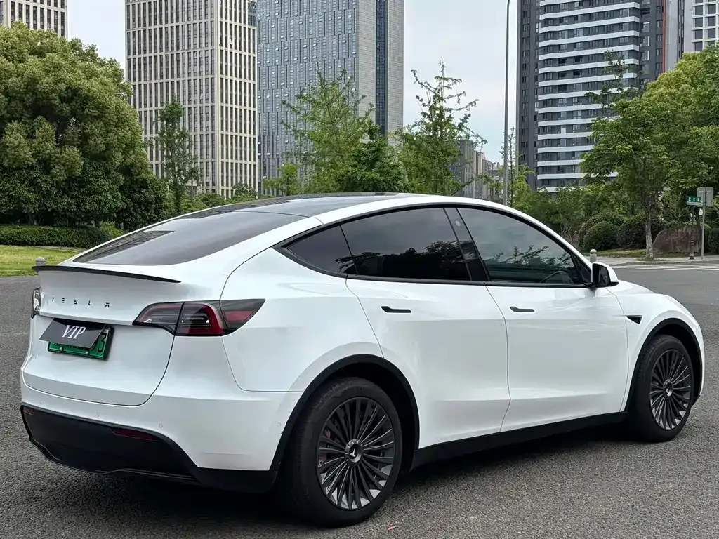 Tesla Model Y — фото 9