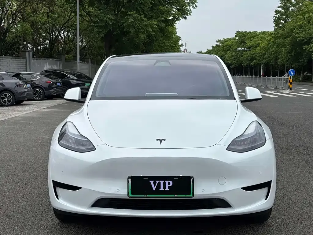 Tesla Model Y — фото 5
