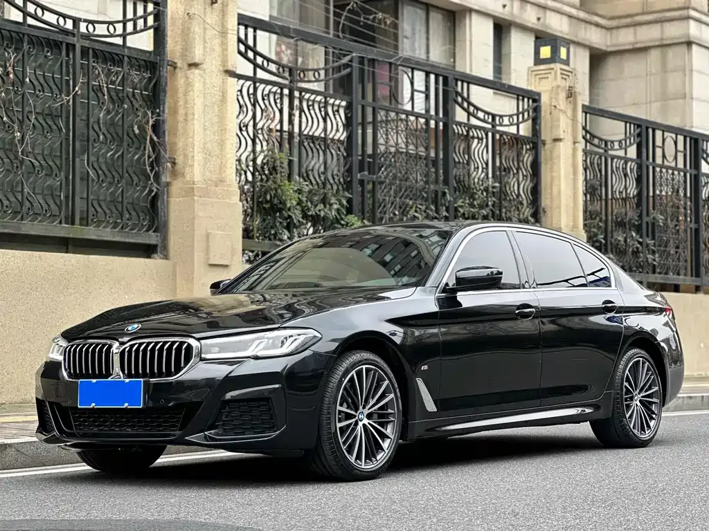 BMW 5 Series 2023 из CN, фото 1
