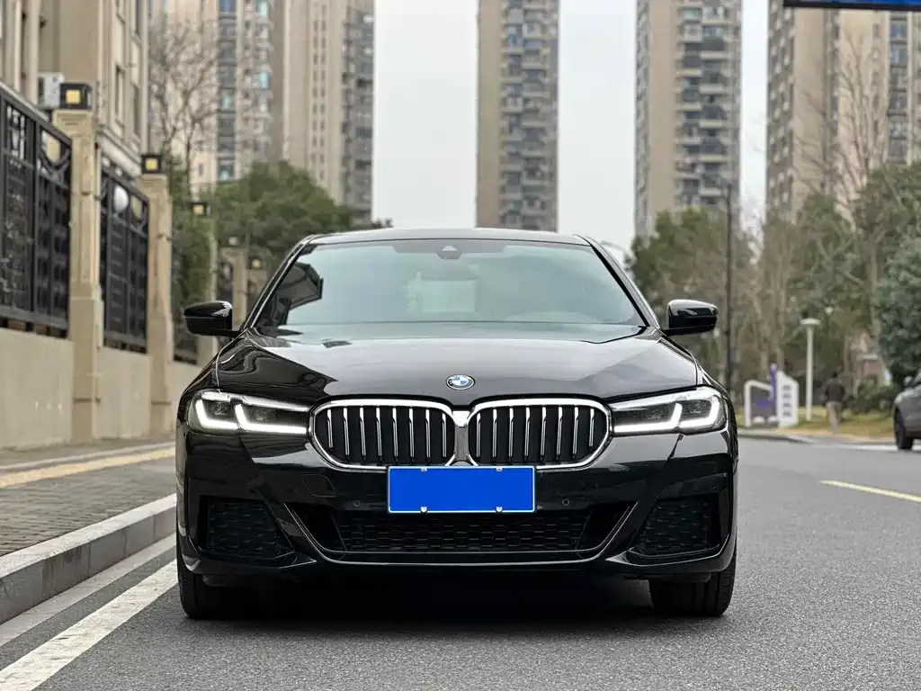 BMW 5 Series 2023 из CN, фото 5