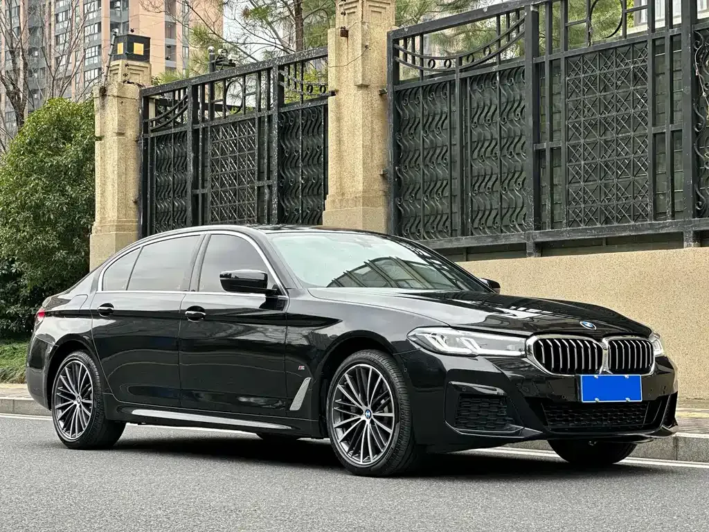 BMW 5 Series 2023 из CN, фото 10