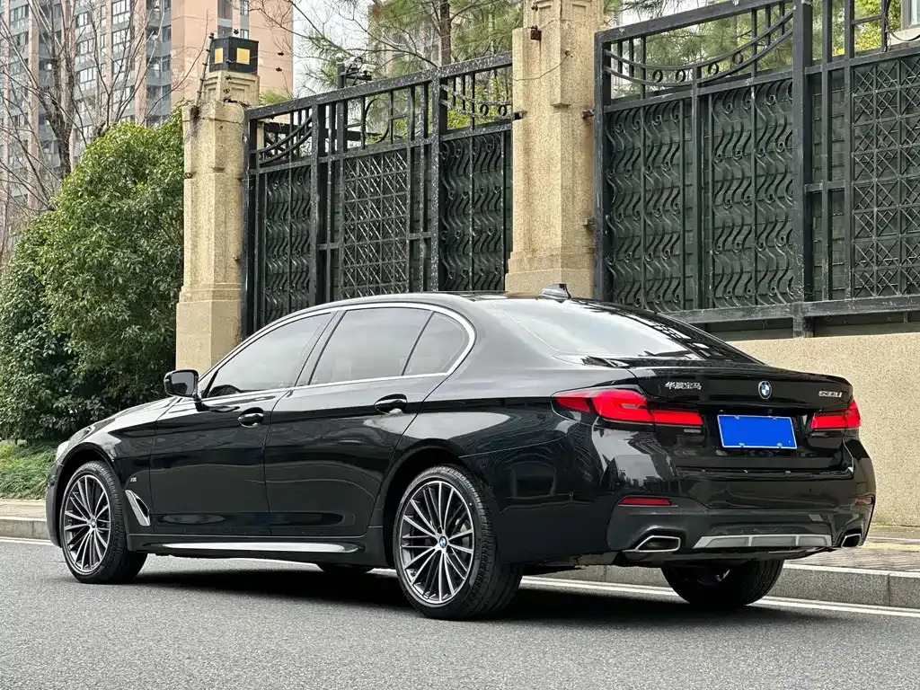 BMW 5 Series 2023 из CN, фото 7