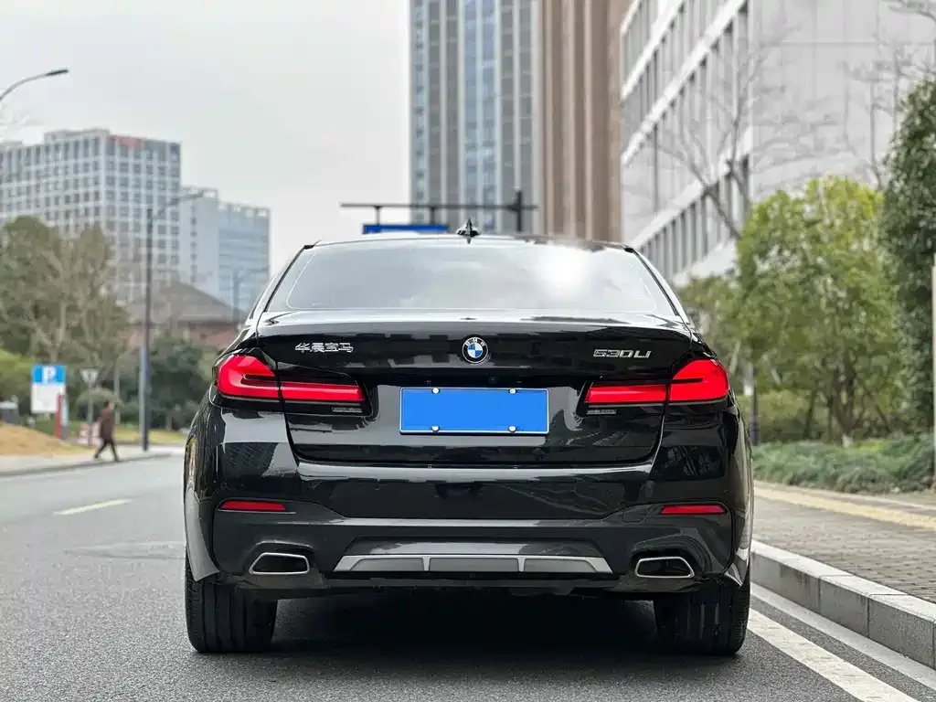 BMW 5 Series 2023 из CN, фото 4