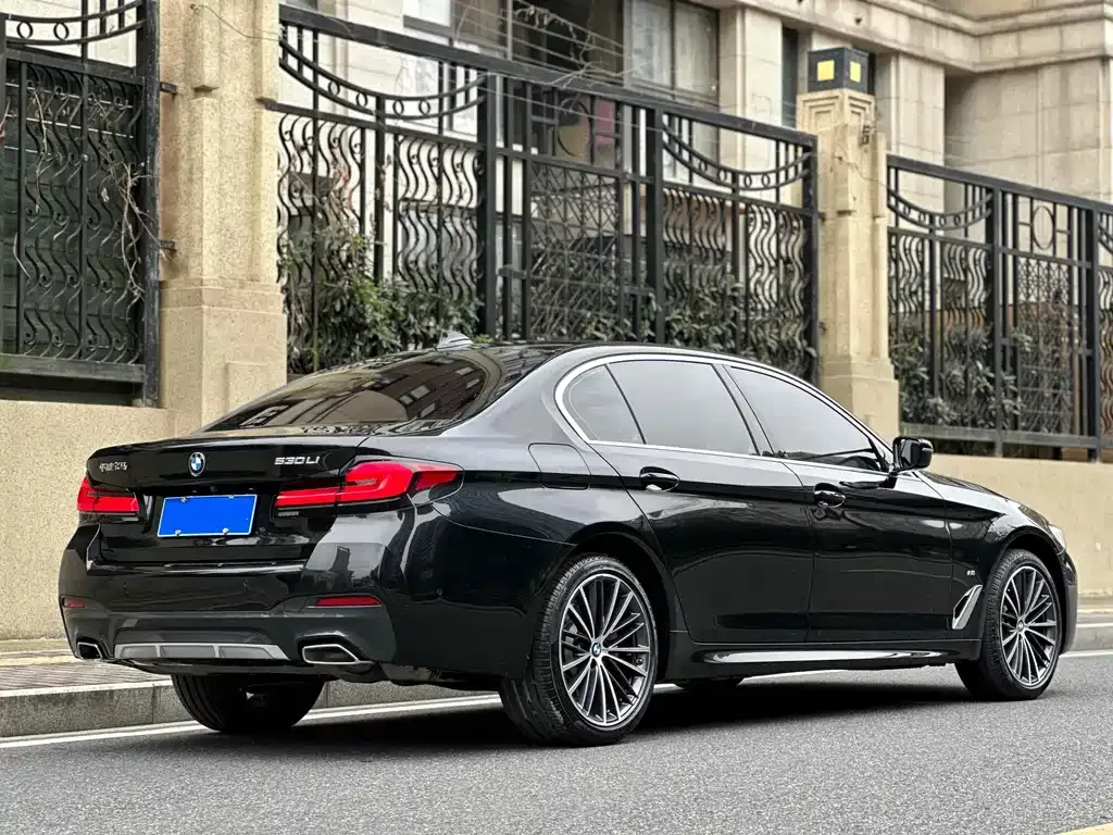 BMW 5 Series 2023 из CN, фото 6