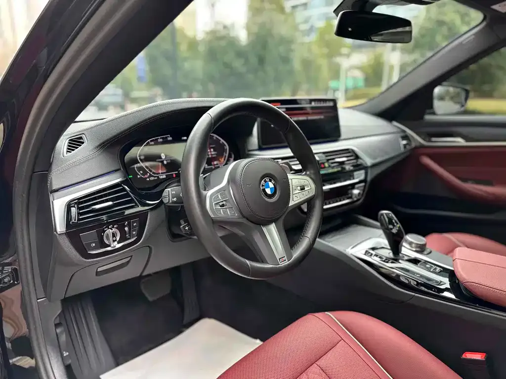BMW 5 Series 2023 из CN, фото 8