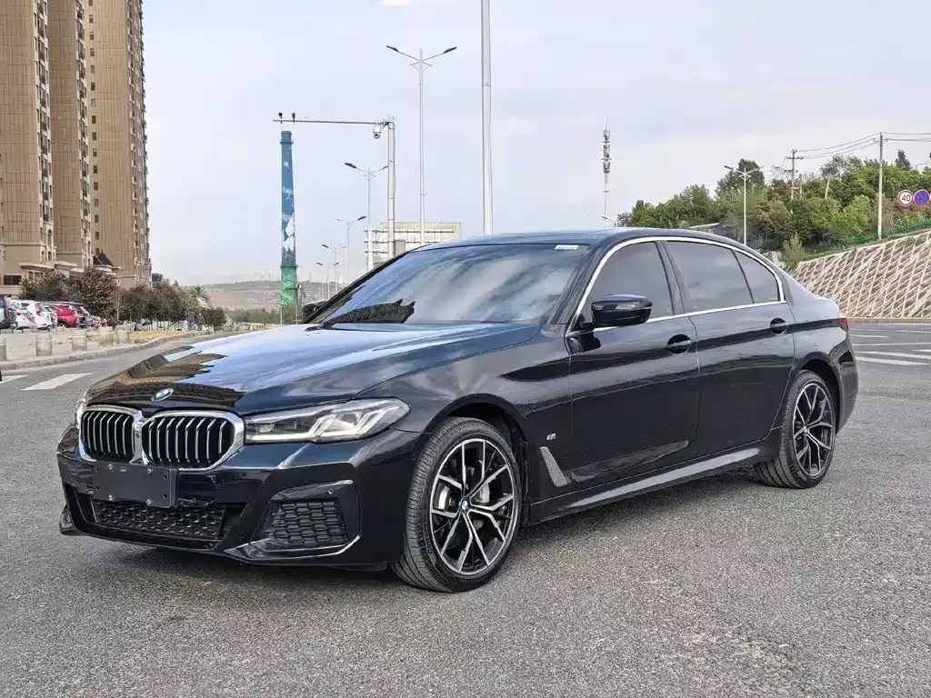 BMW 5 Series 2021 из CN, фото 1