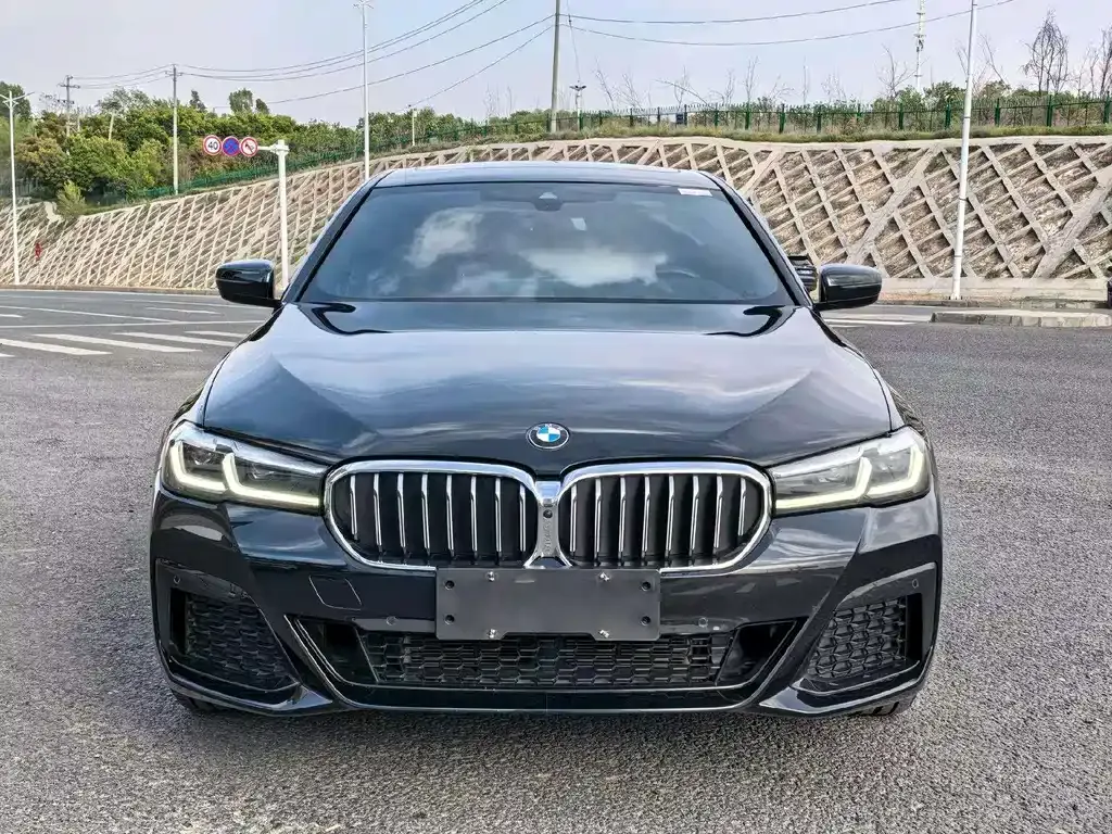 BMW 5 Series 2021 из CN, фото 10