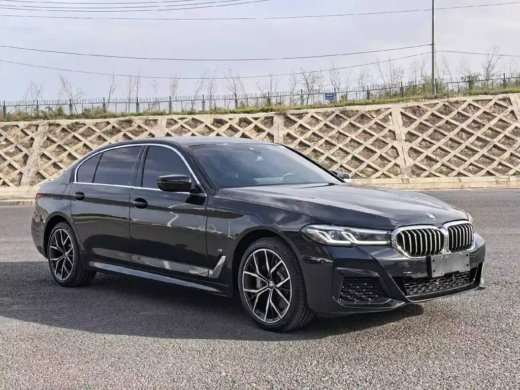 BMW 5 Series 2021 из CN, фото 8