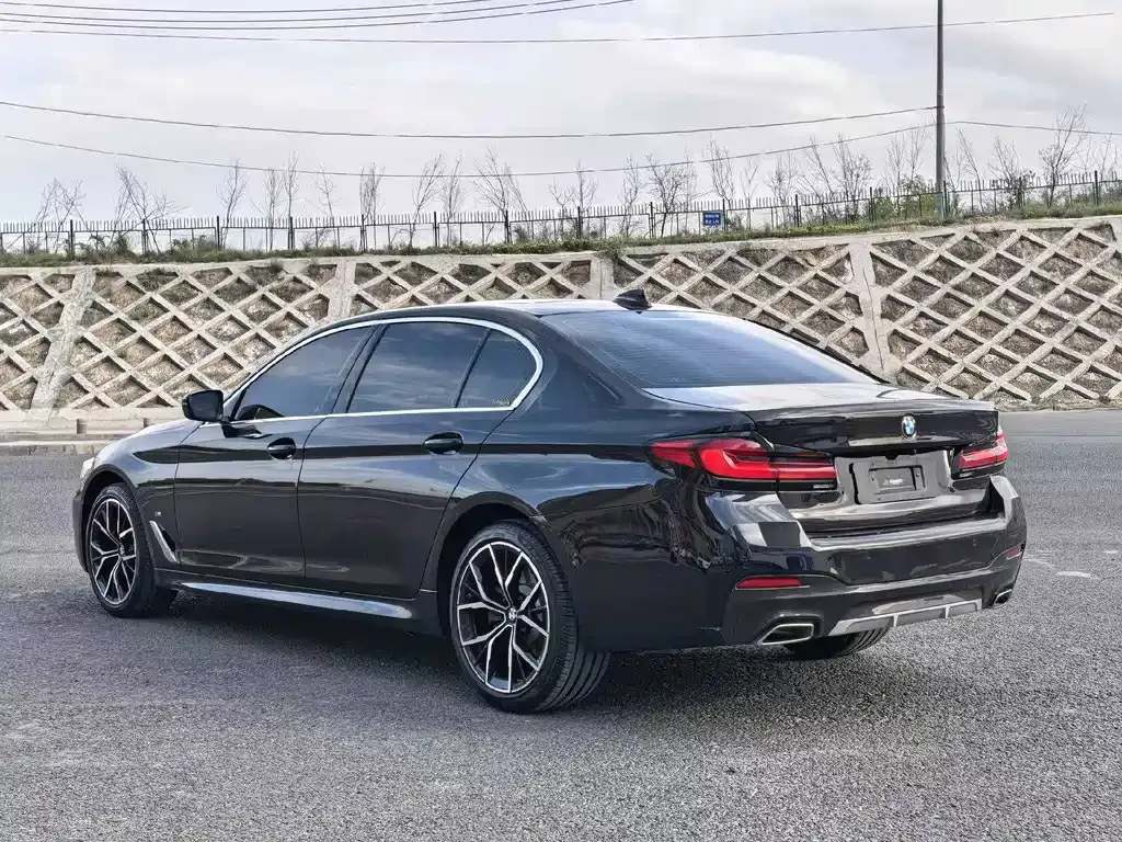 BMW 5 Series 2021 из CN, фото 9