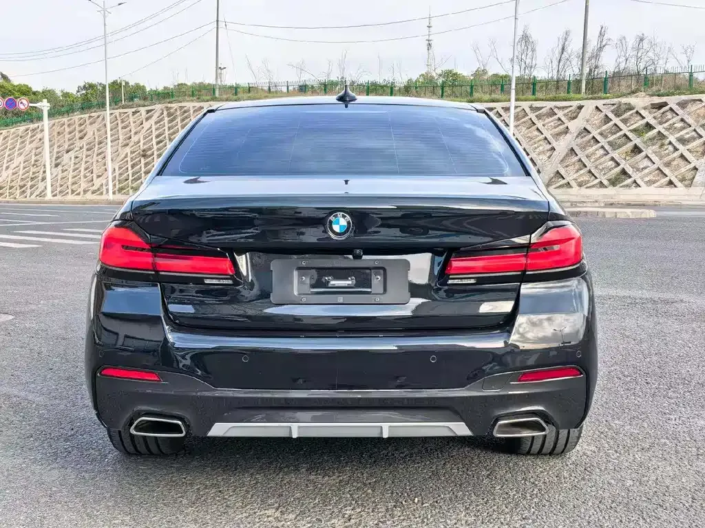 BMW 5 Series 2021 из CN, фото 5