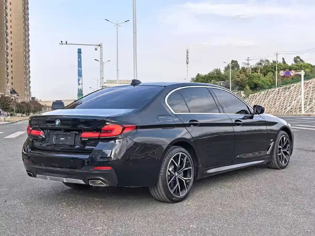 BMW 5 Series 2021 из CN, фото 6